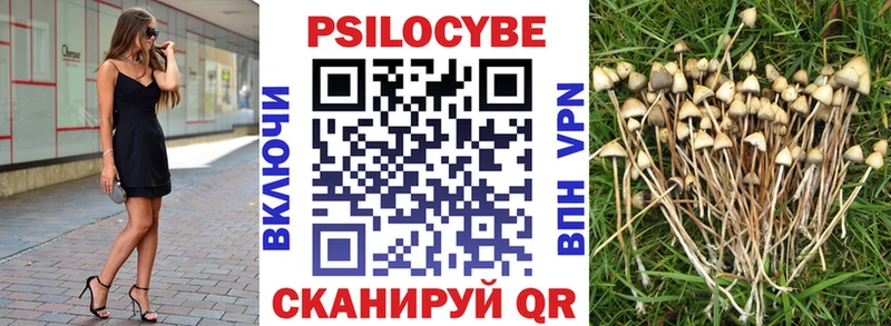 Псилоцибиновые грибы Psilocybine cubensis  Исилькуль 